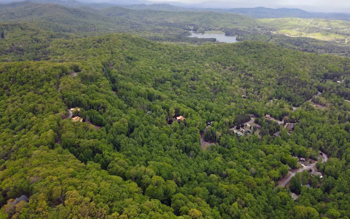 119 Croft Mountain Road, Blairsville, GA 30512 - #1