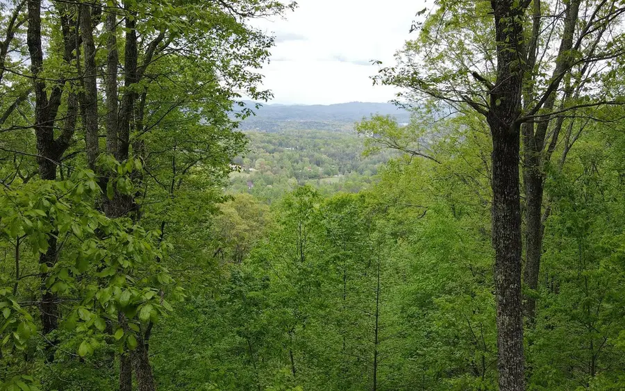 119 Croft Mountain Road, Blairsville, GA 30512 - #3