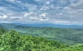 Lot 34 Lt 34 Utana Bluffs, East Ellijay, GA 30540 - Image #3