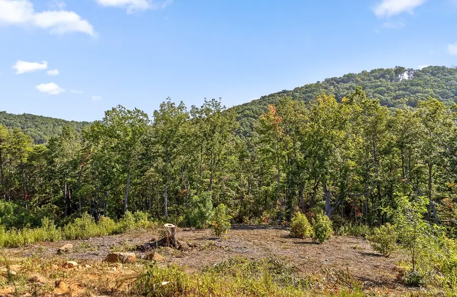 Lot 169 Gray Bluff Trail, Talking Rock, GA 30175 - Image #3