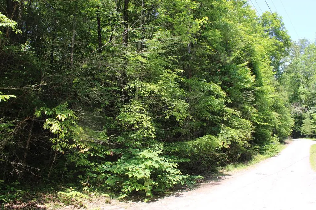 Lot #18 Sunset Road, Epworth, GA 30541 - Image #1