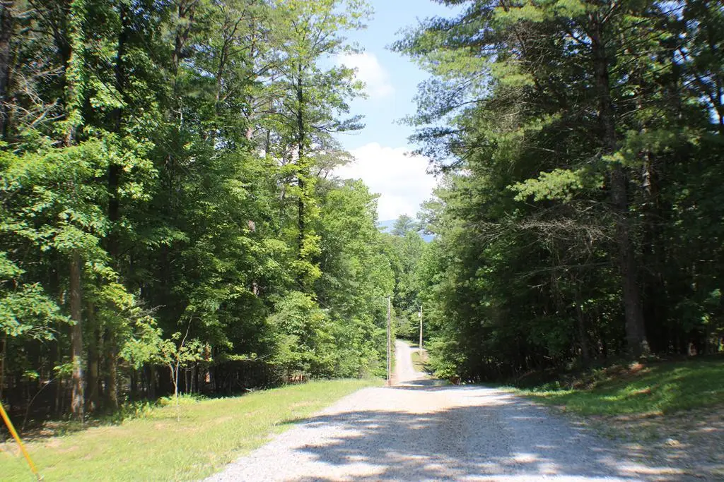 Lot #17 Sunset Road, Epworth, GA 30541 - #1