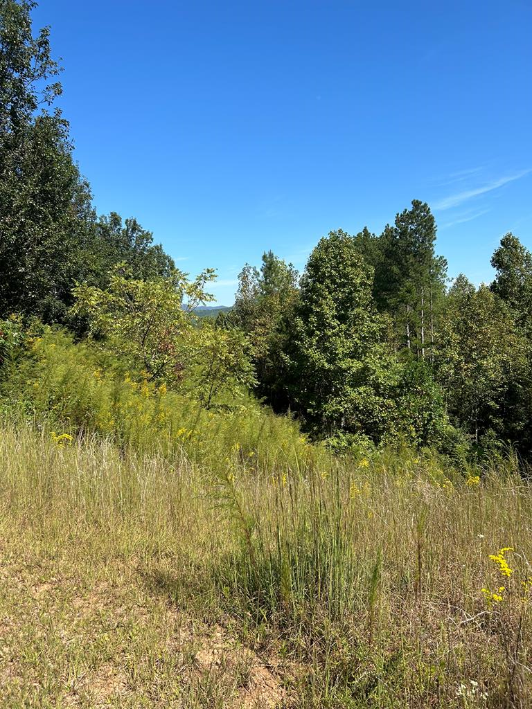 24 My Easy Street, Murphy, NC 28906 - Image #1