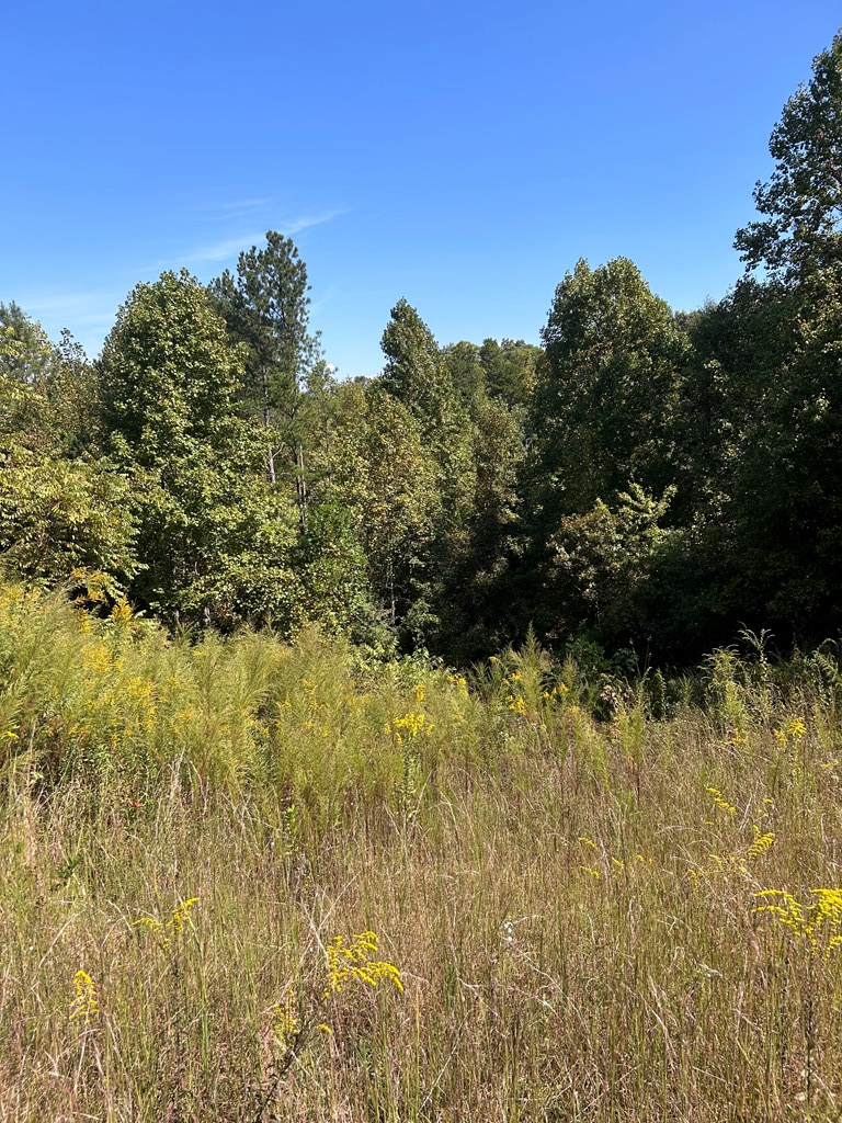 24 My Easy Street, Murphy, NC 28906 - Image #2