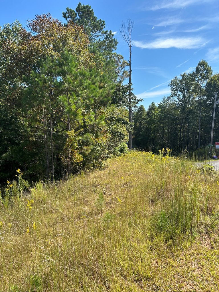 24 My Easy Street, Murphy, NC 28906 - Image #3