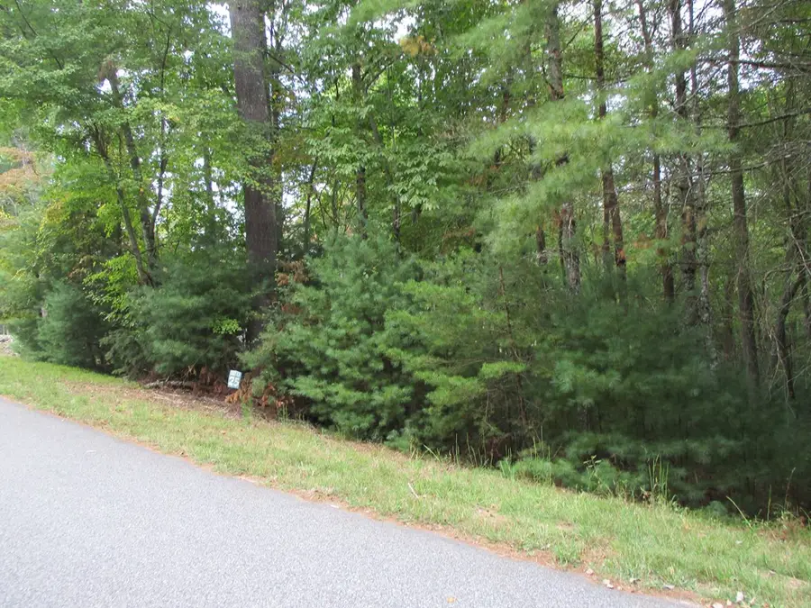 Lot 25 Byers Road, Blairsville, GA 30512 - #2