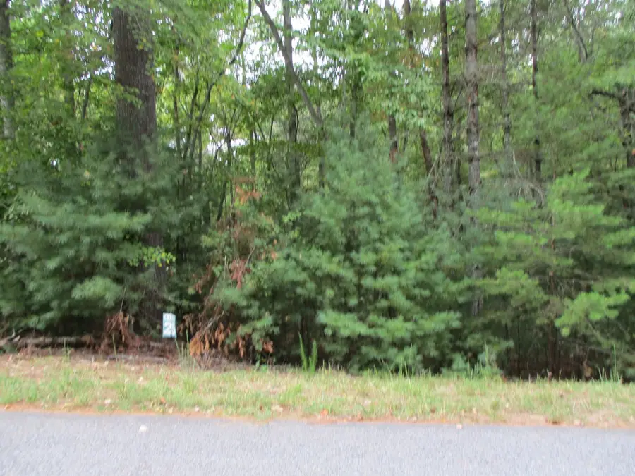 Lot 25 Byers Road, Blairsville, GA 30512 - #3