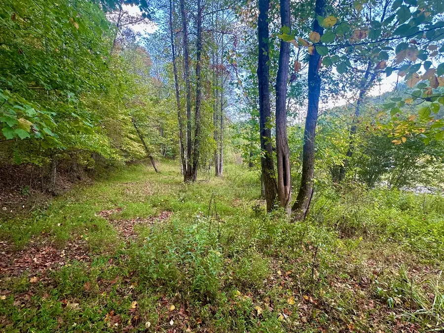 Tract 1 Willow Ridge, Warne, NC 28909 - Image #3