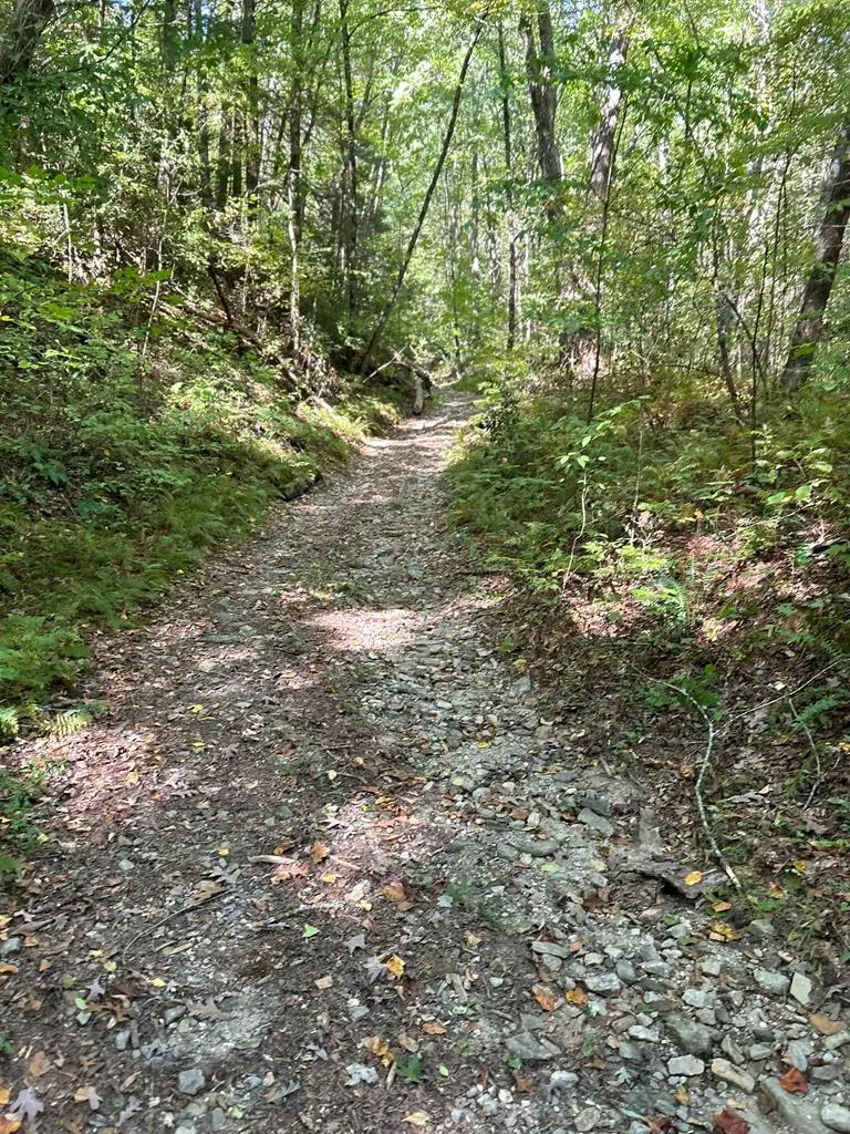 5.74 Hardslate Road, Ellijay, GA 30536 - #1