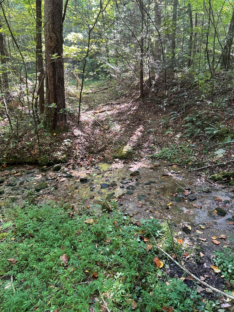 5.74 Hardslate Road, Ellijay, GA 30536 - #3