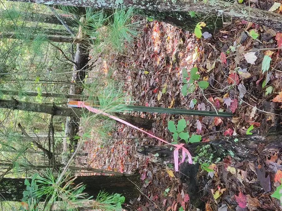 000 Rhonda Lane, Mineral Bluff, GA 30059 - Image #3