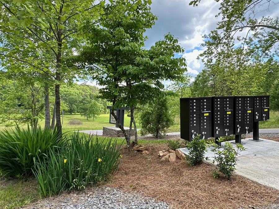 LT12 The Laurels Of Br, Mineral Bluff, GA 30559 - #3
