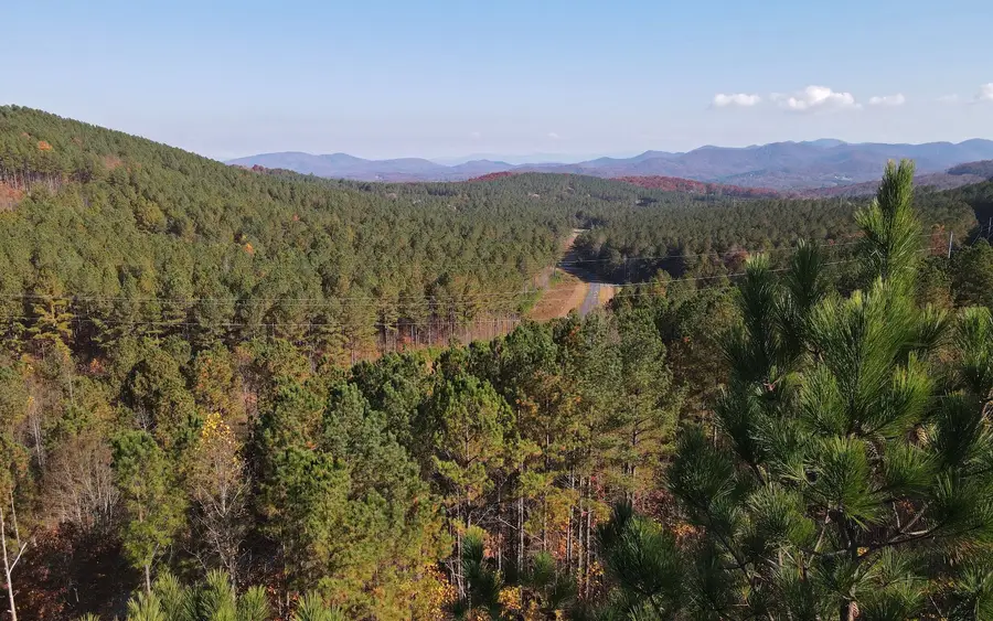 60 Thirteen Hundred, Blairsville, GA 30512 - #3