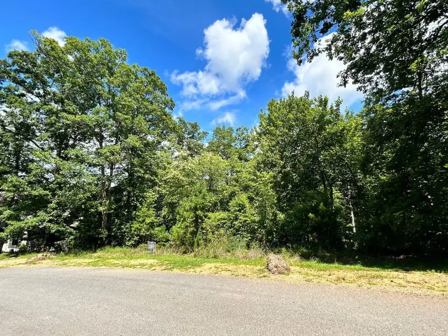 HP25 Old Toccoa Loop, Mineral Bluff, GA 30559 - Image #2