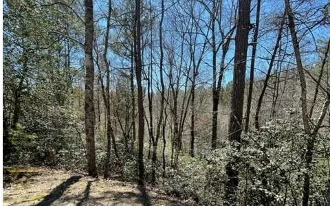 Lot 6 Willow Ridge, Warne, NC 28909 - #2