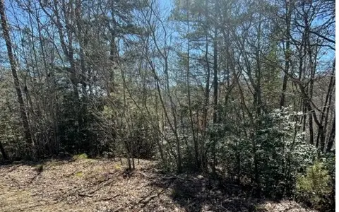 Lot 6 Willow Ridge, Warne, NC 28909 - #3