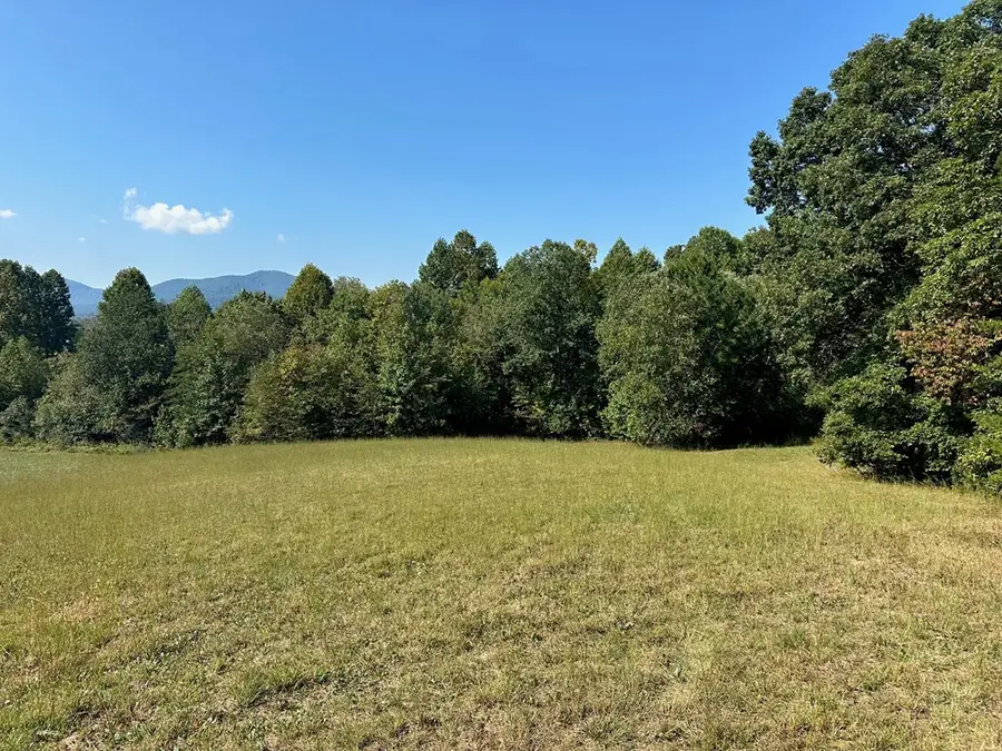 Lot 51 The Preserve At Cc, Young Harris, GA 30582 - Image #2
