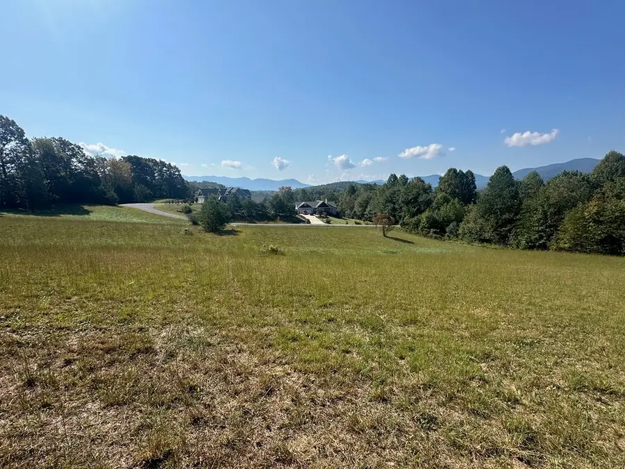 Lot 51 The Preserve At Cc, Young Harris, GA 30582 - Image #3