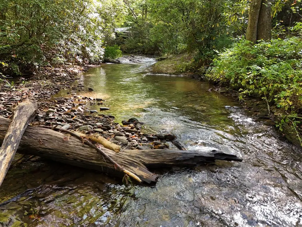 00 Mill Creek, Hiawassee, GA 30546 - #1