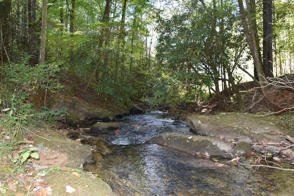 32.98 Ac Zion Hill Road, Ellijay, GA 30540 - Image #1