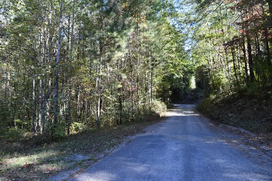32.98 Ac Zion Hill Road, Ellijay, GA 30540 - Image #2