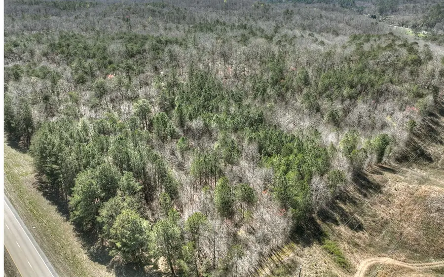 0 Hwy 515, Ellijay, GA 30540 - #3