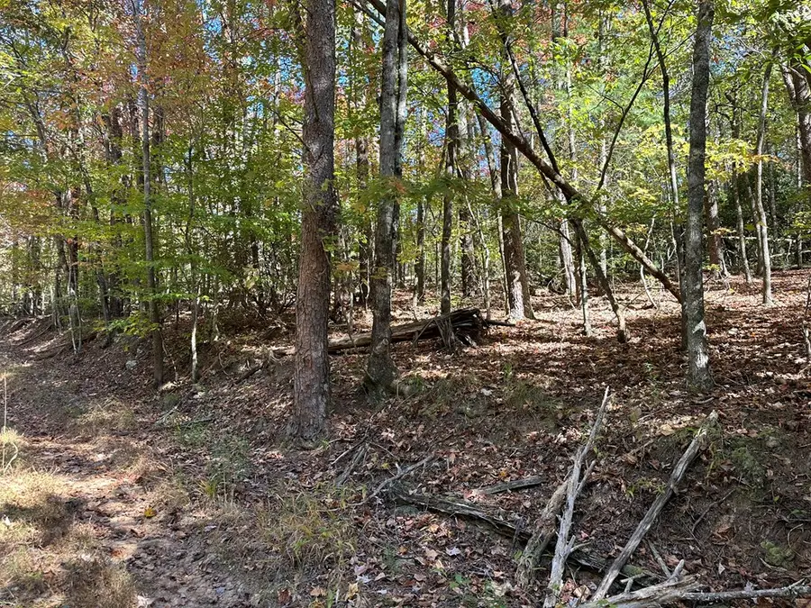 00 W Stover Creek Cove, Ellijay, GA 30513 - Image #2