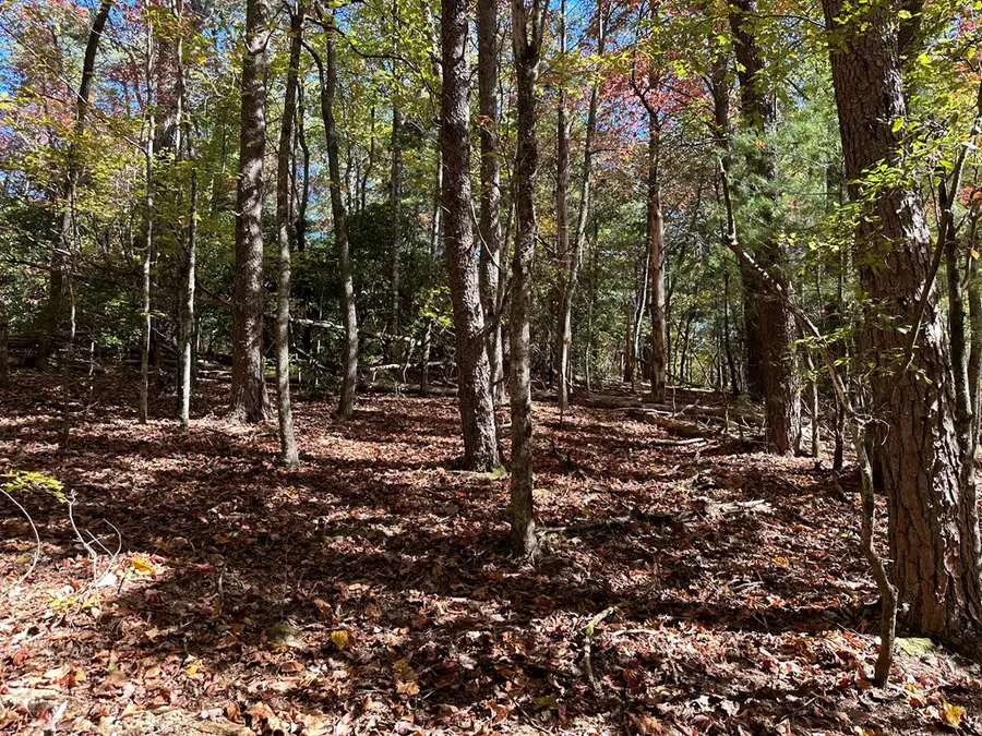 00 W Stover Creek Cove, Ellijay, GA 30513 - Image #3