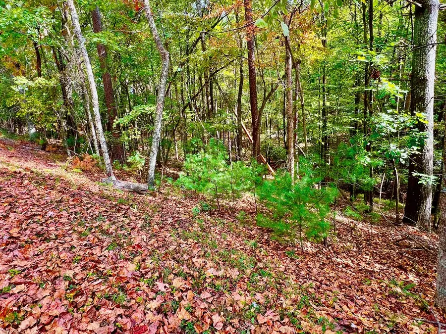 577 Tonto Drive, Ellijay, GA 30540 - Image #3