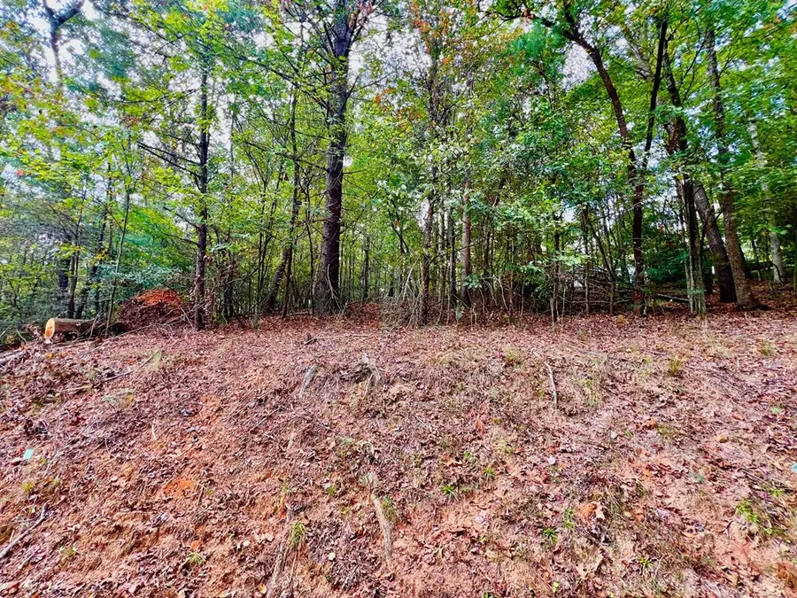 573 Cataula Court, Ellijay, GA 30540 - Image #3