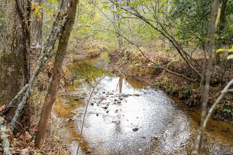 00 Rizzitello Lane, Blairsville, GA 30512 - Image #3