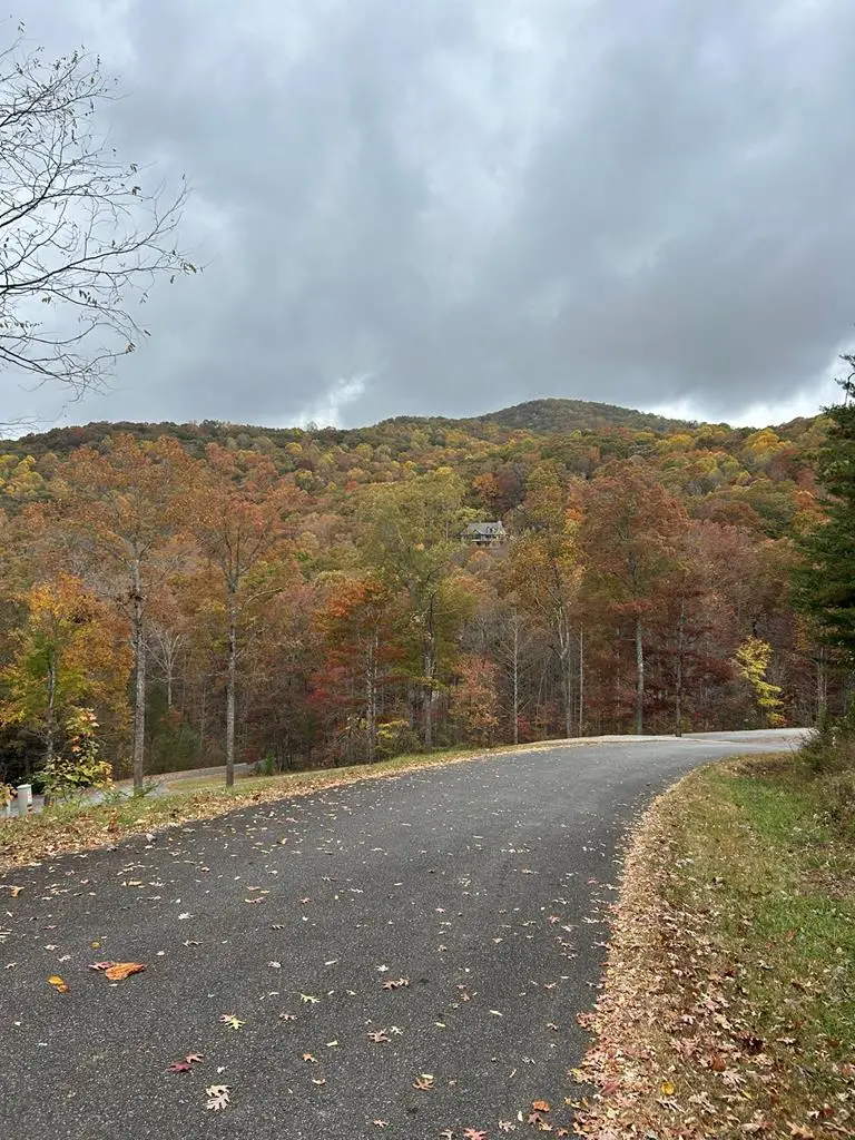 Lot 34 Shallow Creek Subd., Hiawassee, GA 30546 - Image #1