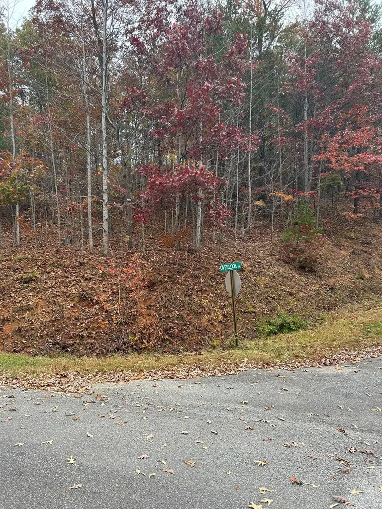 Lot 34 Shallow Creek Subd., Hiawassee, GA 30546 - Image #2