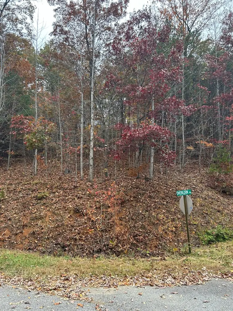 Lot 34 Shallow Creek Subd., Hiawassee, GA 30546 - Image #3