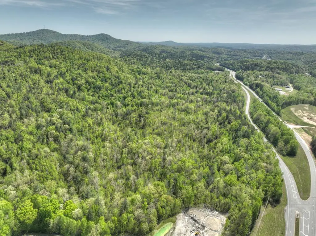 138.06AC N Hwy 515, Ellijay, GA 30540 - Image #1