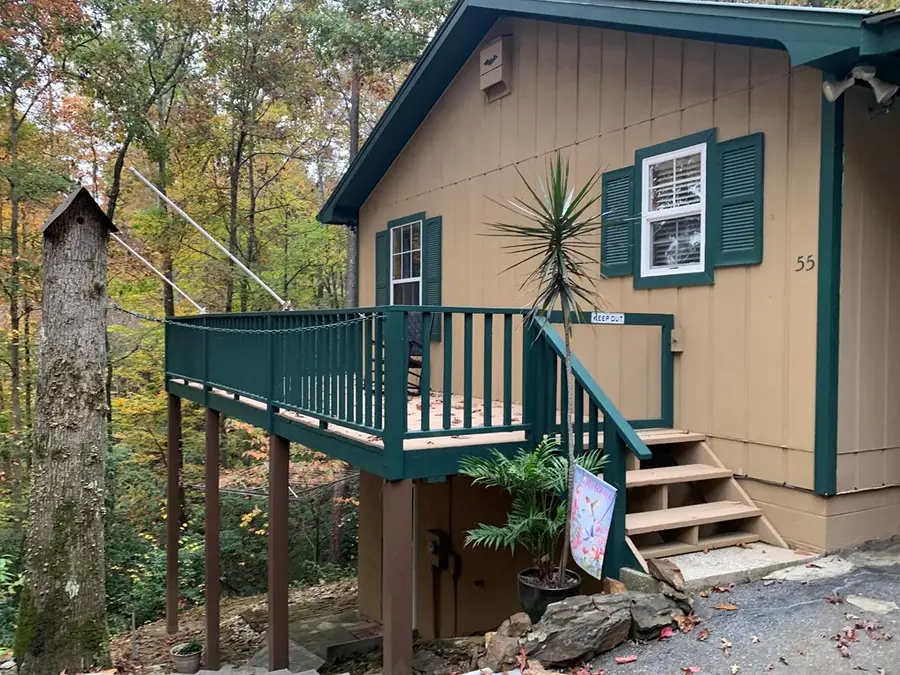 55 Laurel Springs Drive, Murphy, NC 28906 - #2