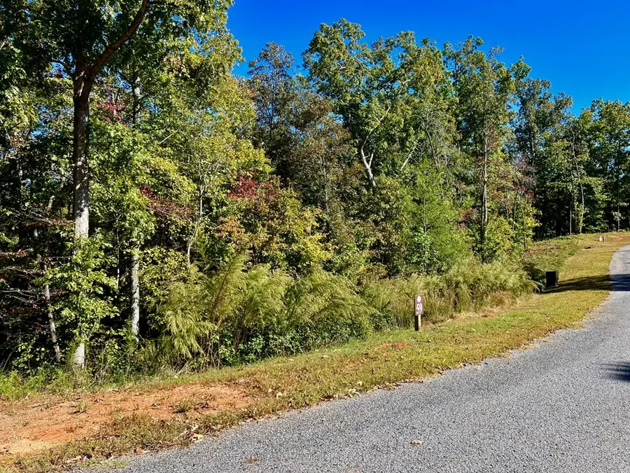 59 High River Landing, Ellijay, GA 30540 - #3