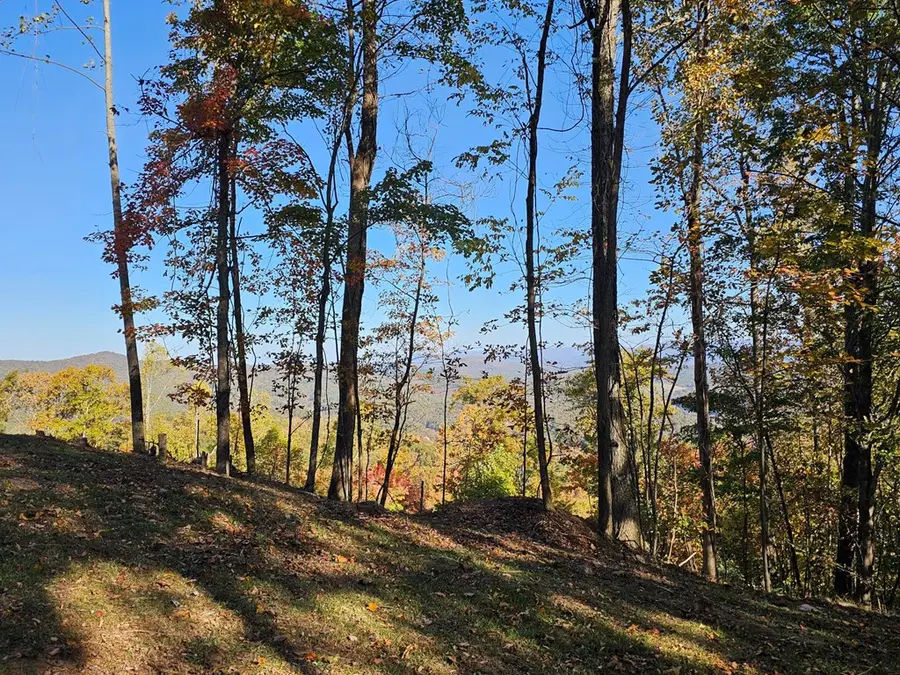 38 Trophy Buck Point, Murphy, NC 28906 - #3