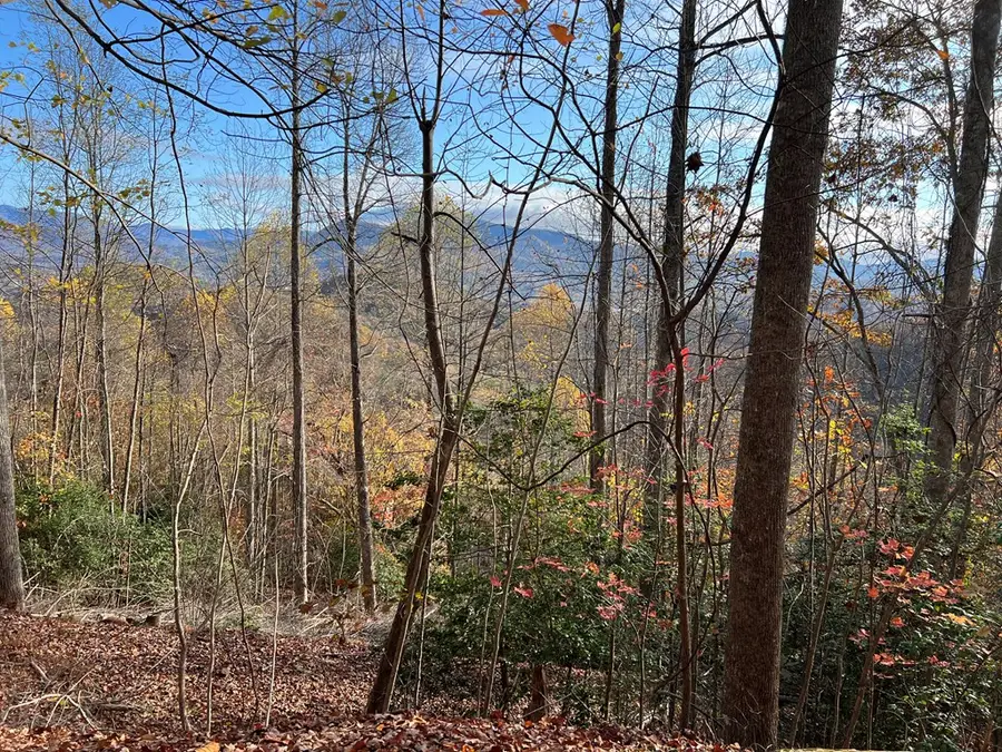 Tract 1 Hidden Summit Road, Hiawassee, GA 30546 - #3