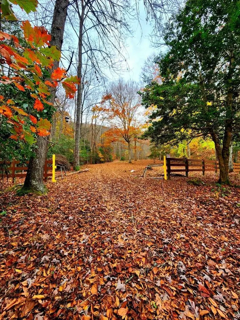 457 Young Blood Drive, Blairsville, GA 50512 - Image #2