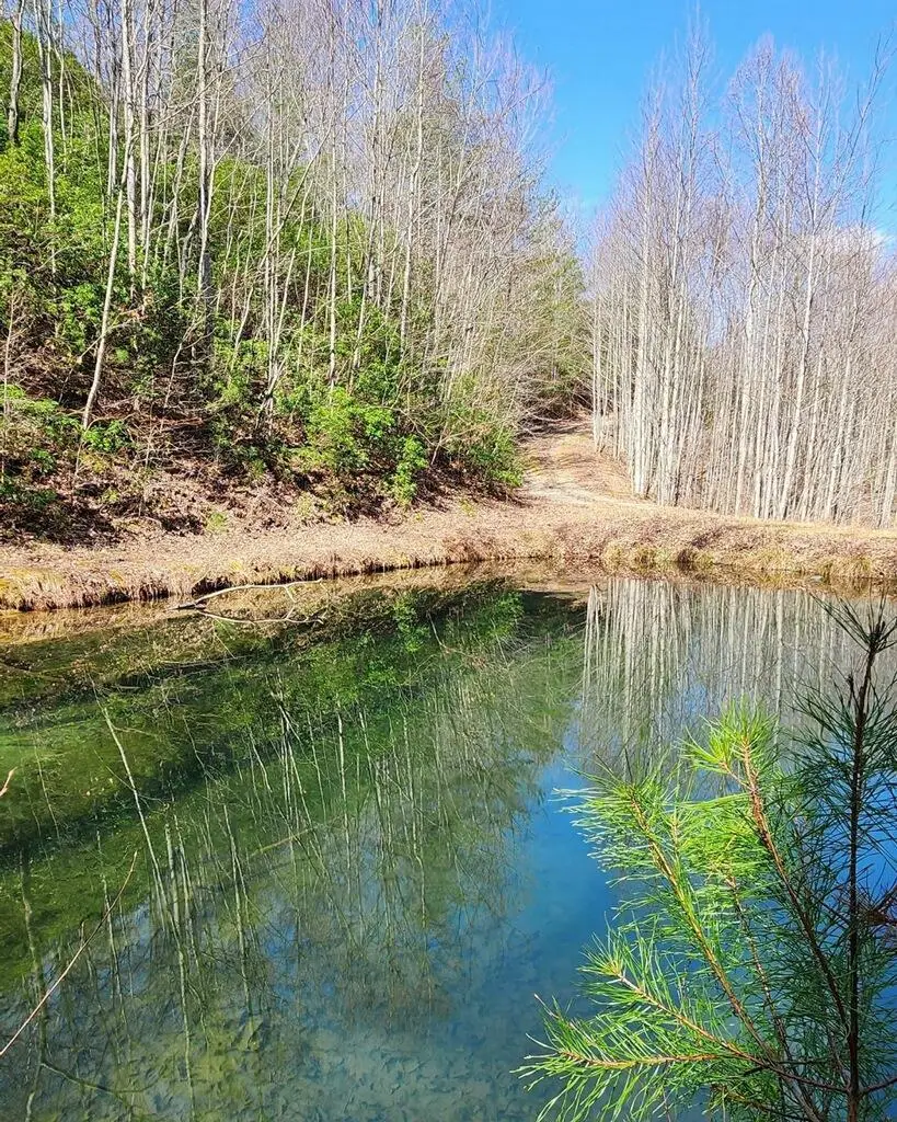 457 Young Blood Drive, Blairsville, GA 50512 - Image #3