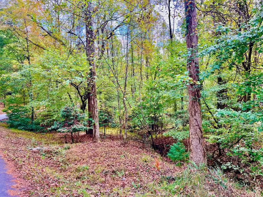 574 Satsuma Court S, Ellijay, GA 30540 - Image #2