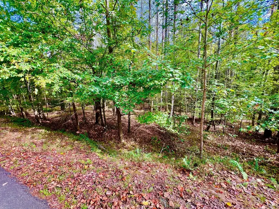 574 Satsuma Court S, Ellijay, GA 30540 - Image #3