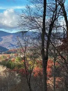 TBD Upper Peachtree Road, Murphy, NC 28906 - Image #2