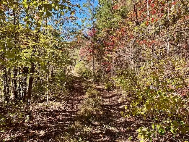 TBD Upper Peachtree Road, Murphy, NC 28906 - Image #3