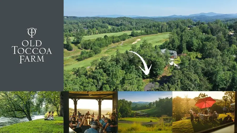 LT192 Trails End Way, Mineral Bluff, GA 30559 - Image #2