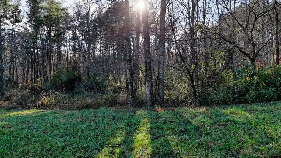 0 Blue Ridge Hwy, Blairsville, GA 30512 - Image #3