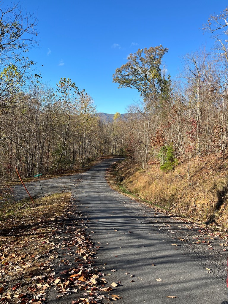 41 42 43 Ridges Overlook, Hayesville, NC 28904 - Image #2