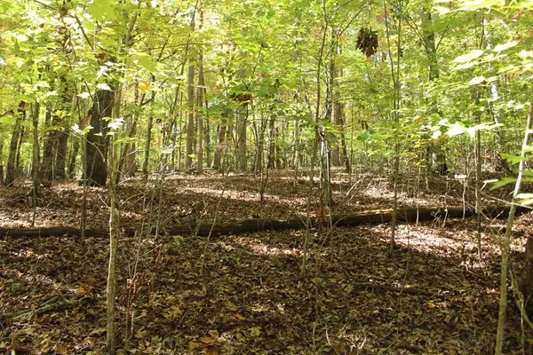 Lot 14 Ed Moore/the Vinings, Hayesville, NC 28904
