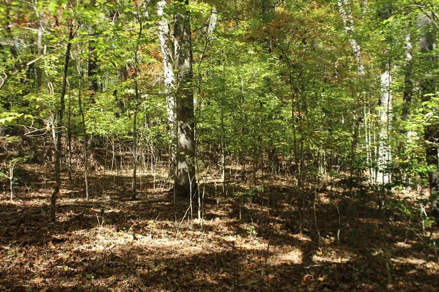 Lot 14 Ed Moore/the Vinings, Hayesville, NC 28904 - #2